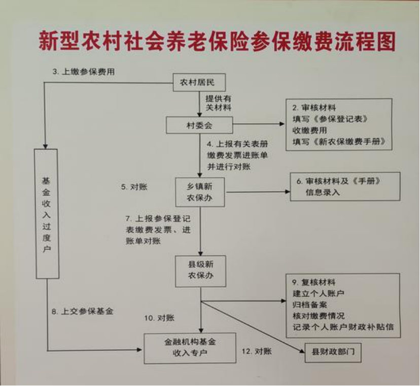 清远农村医保和社保有什么区别(农村医保跟社保的区别)